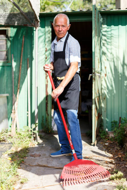istock Gardener raking fall leaves 1153574379