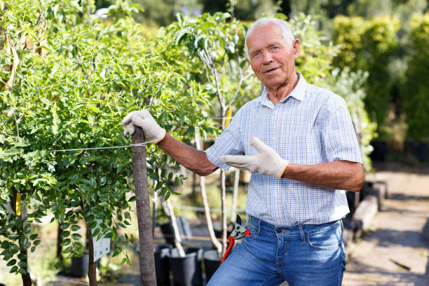 istock Confident senior man in garden 1153574426