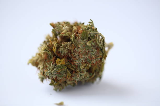 istock dry medical cannabis marijuana hand 1153584805