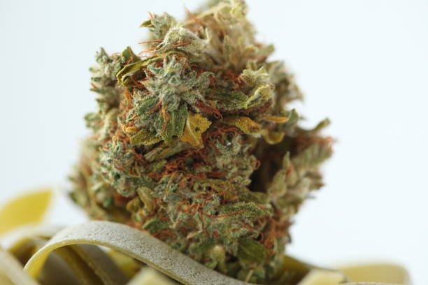 istock dry medical cannabis marijuana food 1153585169
