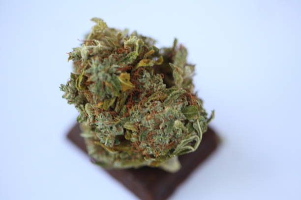 istock dry medical cannabis marijuana food 1153585228
