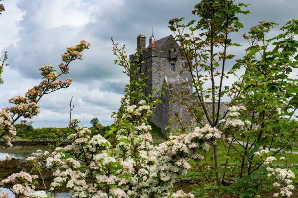 château de dunguaire, maison de la tour du xvie siècle dans le comté de galway près de kinvarra, en irlande. - kinvara photos et images de collection