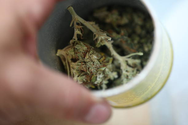 istock dry medical cannabis marijuana hand 1153586655