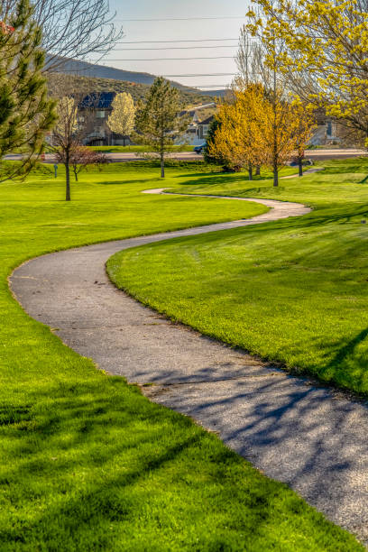 istock Grassy terrain with a winding pathway and young trees viewed on a sunny day 1153587277