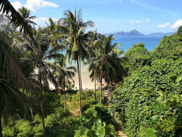 istock Marimegmeg and Bacuit bay, El Nido, Philippines 1153587497