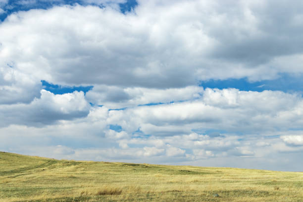 istock Hilly steppe. Curvy hills. Blue sky with clouds and grass. Beautiful plain. Natural landscapes. Lowland. Hilly horizon. Environmental background. 1153587819