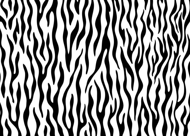 Zebra skin pattern design. Animal print vector illustration background. Zebra skin pattern design. Animal print vector illustration background. Wildlife fur skin design illustration. For web, home decor, fashion, surface, graphic design tiger stripes stock illustrations