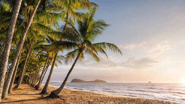 Empty tropical beach at the sunrise Panoramic view of an empty tropical beach at the sunrise with copy space cairns australia photos stock pictures, royalty-free photos & images