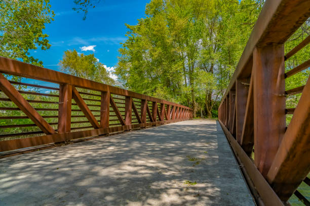 istock Bridge overlooking luxuriant trees with bright green leaves against blue sky 1153594892