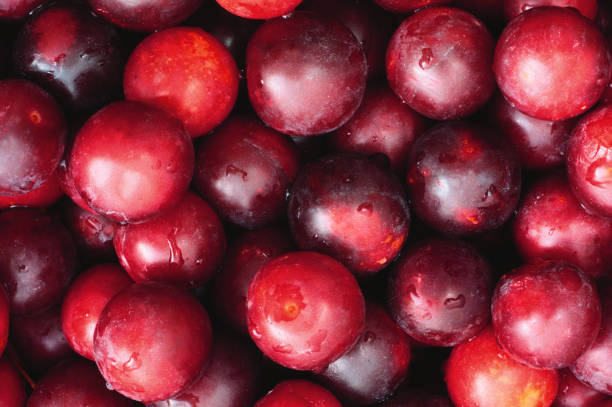 プラム背景ビュー - plum fruit organic food and drink ストックフォトと画像