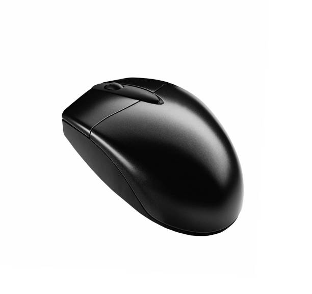 istock Closeup of Black Mouse isolated 1153600050