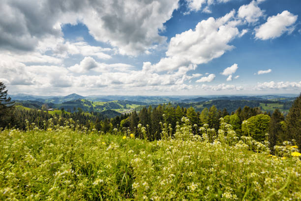 istock Looking at view in Appenzellerland, Switzerland 1153601912
