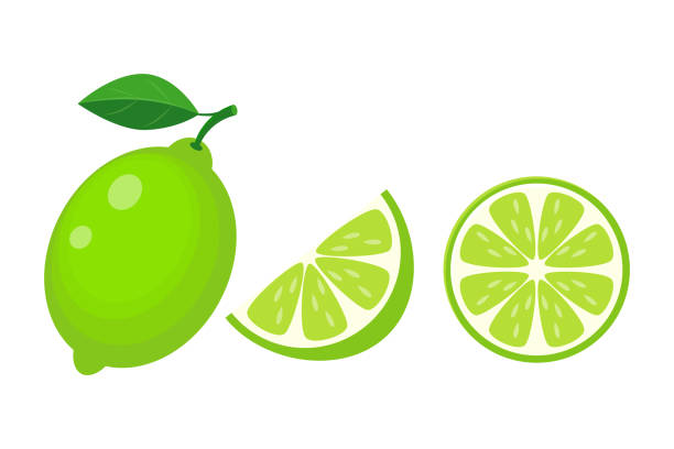 ilustraciones, imágenes clip art, dibujos animados e iconos de stock de colorido entero, mitad y rebanada de lima con hoja verde. vector - lime wedge