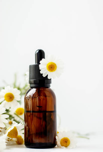 istock Essential aroma oil with camomile on white background. 1153602470