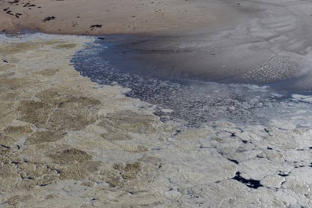 istock Sea foam on water 1153602495