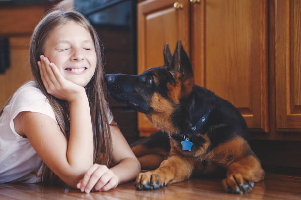 istock Girl have fun with puppy 1153604528
