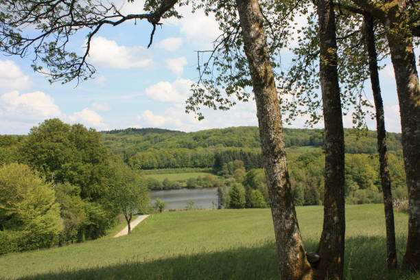 istock Countryside  Rural Scene  Meadow and Forest 1153604592