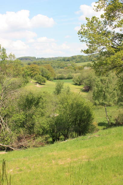 istock Countryside  Rural Scene  Meadow and Forest 1153604601