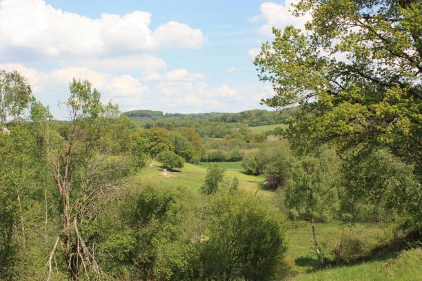 istock Countryside  Rural Scene  Meadow and Forest 1153604612
