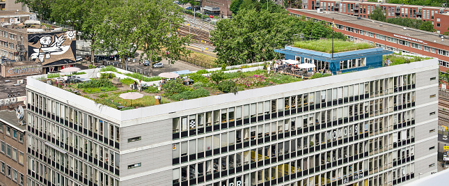 Rotterdam, The Netherlands, June 2, 2019: aerial view of the Dakakker, or Rooftop Field, urban agriculture on the roof of an office building from the 1960's