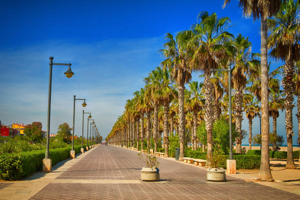 istock Spain. Valencia. Quay in summer sunny weather 1153607459