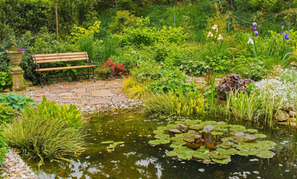 istock Pond in Italian Garden 1153613887
