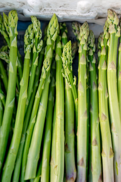 A bunch of freshly picked wild asparagus
