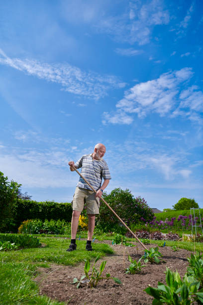 istock Having gardening as hobby after retirement 1153619190