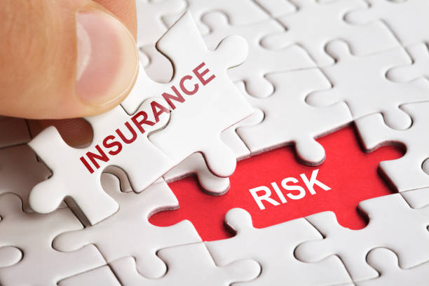 Hand Holding Piece Of Puzzle With Word Insurance Risk Stock Photo - Download Image Now - iStock