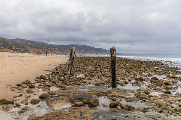 istock Malibu Beach On Cloudy Day 1153625961