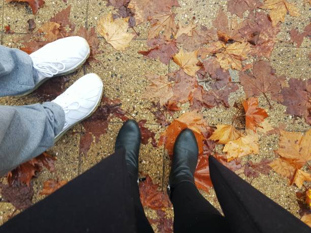 istock End of Autumn 1153631269