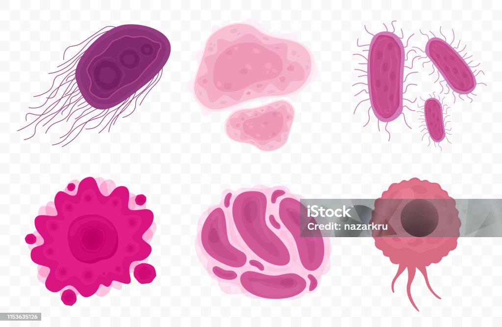 Bactéries et cellules virales isolées sur fond transparent. - clipart vectoriel de Bactérie libre de droits