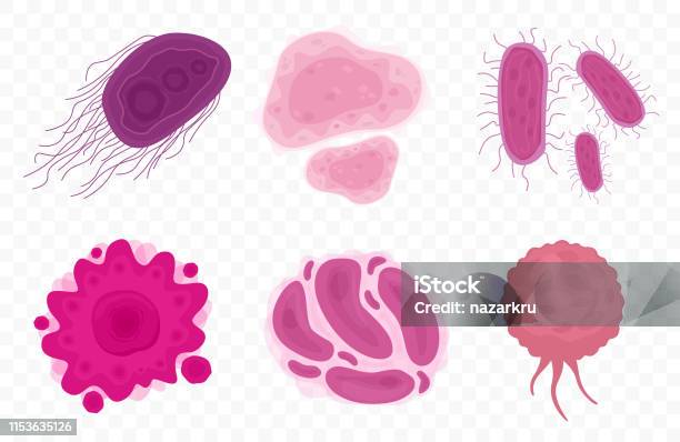 Bactéries Et Cellules Virales Isolées Sur Fond Transparent Vecteurs libres de droits et plus d'images vectorielles de Bactérie