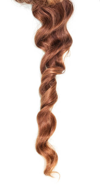 istock Beautiful curls light brown hair isolated on white 1153636282