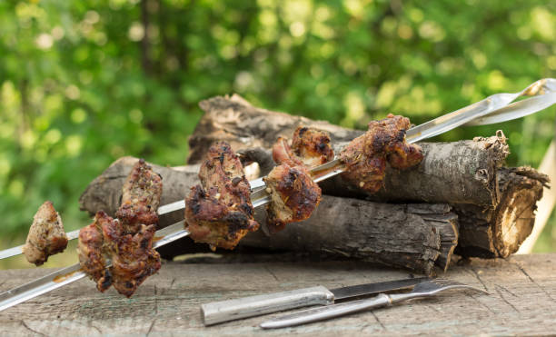 istock Two skewers of meat roasted on an open fire. Active rest on nature 1153636993