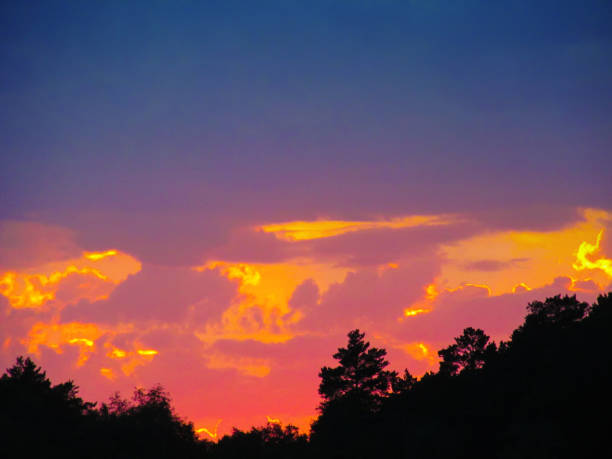 istock Landscape with sunset and silhouettes of trees. 1153638647
