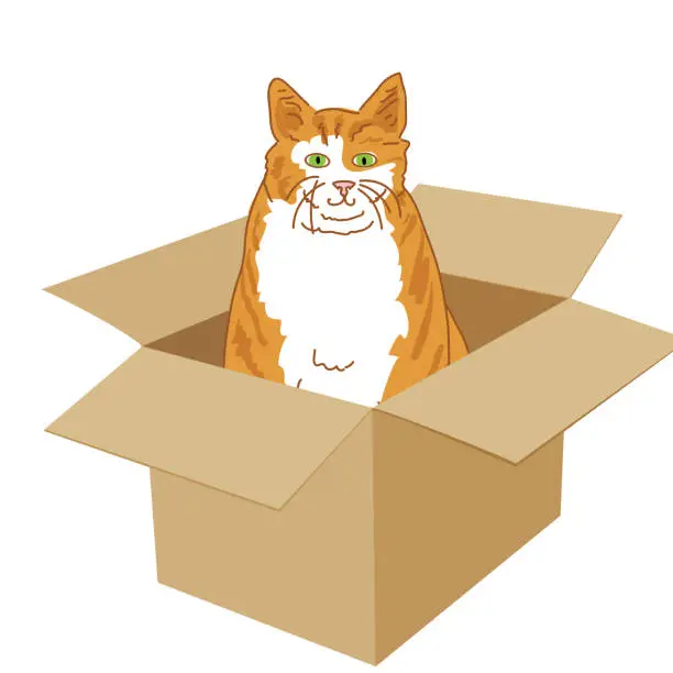 Vector illustration of Orange Tabby Cat in Box