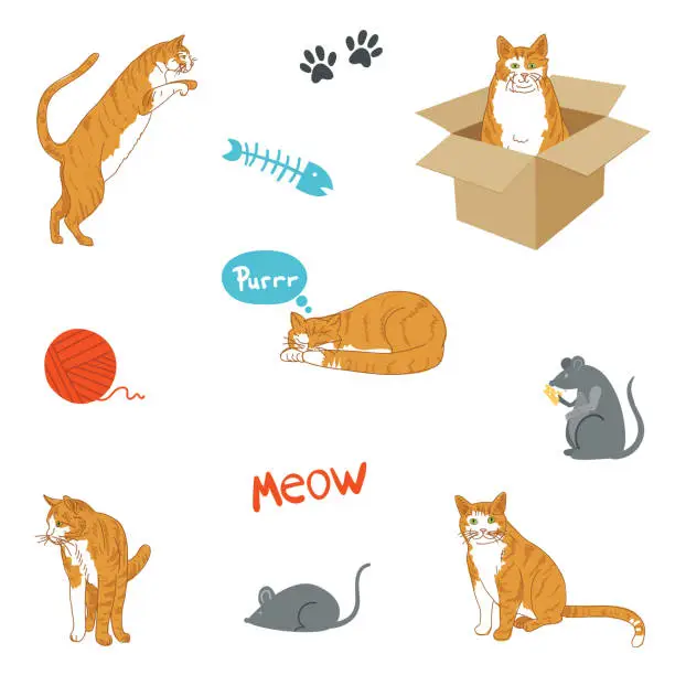 Vector illustration of Cat Cartoon Set