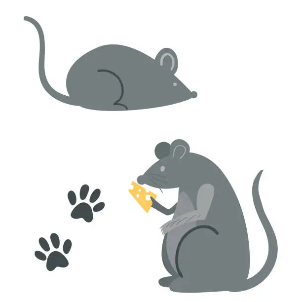 Vector illustration of Mice with Paw Prints