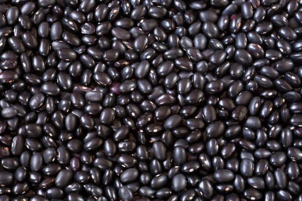 istock Raw black beans - Phaseolus vulgaris' Black turtle 1153642583