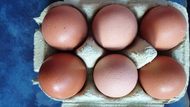 istock Close up of eggs in cardboard pack 1153642823