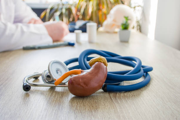 Concept photo of diagnosis and treatment of kidneys. In foreground is model of kidney near stethoscope on table in background blurred silhouette doctor at table, filling medical documentation Concept photo of diagnosis and treatment of kidneys. In foreground is model of kidney near stethoscope on table in background blurred silhouette doctor at table, filling medical documentation nephropathy photos stock pictures, royalty-free photos & images