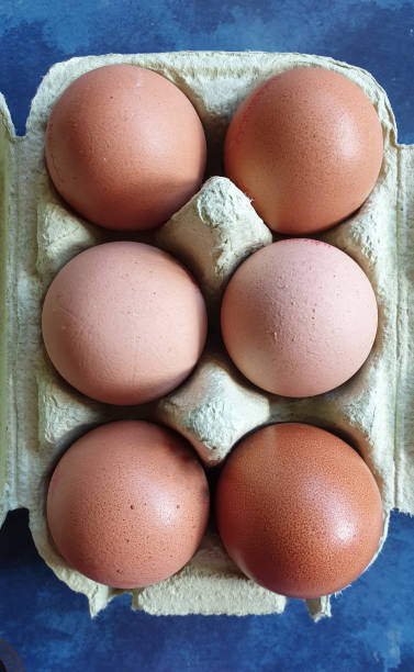 istock Close up of eggs in cardboard pack 1153642829
