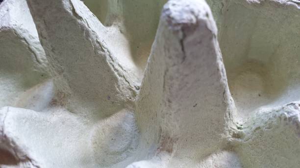 istock Close up of cardboard egg carton 1153642860