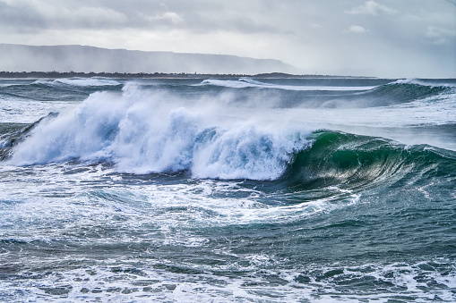 Tall breaking wave at the North Beach of Wollongong during a storm