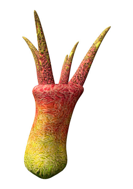 istock 3D illustration alien plant on white 1153645413