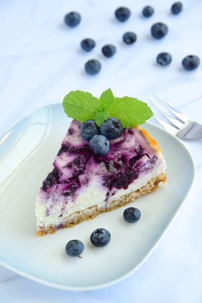 istock Homemade blueberry swirl cheesecake with mint leaf 1153648466