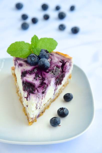 istock Homemade blueberry swirl cheesecake with mint leaf 1153648694