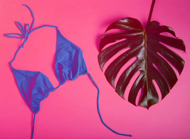 istock Beach concept. Blue swimsuit and leaf monstera on orange background. 1153650974