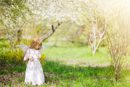 Fairy tale consept. Little toddler girl wearing beautiful princess dress with fairy wings in the forest or park, spring day, white blooming trees.
